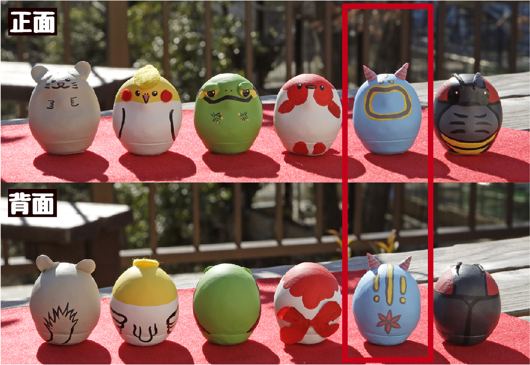 幸せの♡いきものたち】 ウミウシ | 生物園オンラインショップ